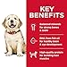 Hill's Science Diet Puppy, Large Breed Puppy Premium Nutrition, Dry Dog Food, Chicken & Brown Rice, 15.5 lb Bag