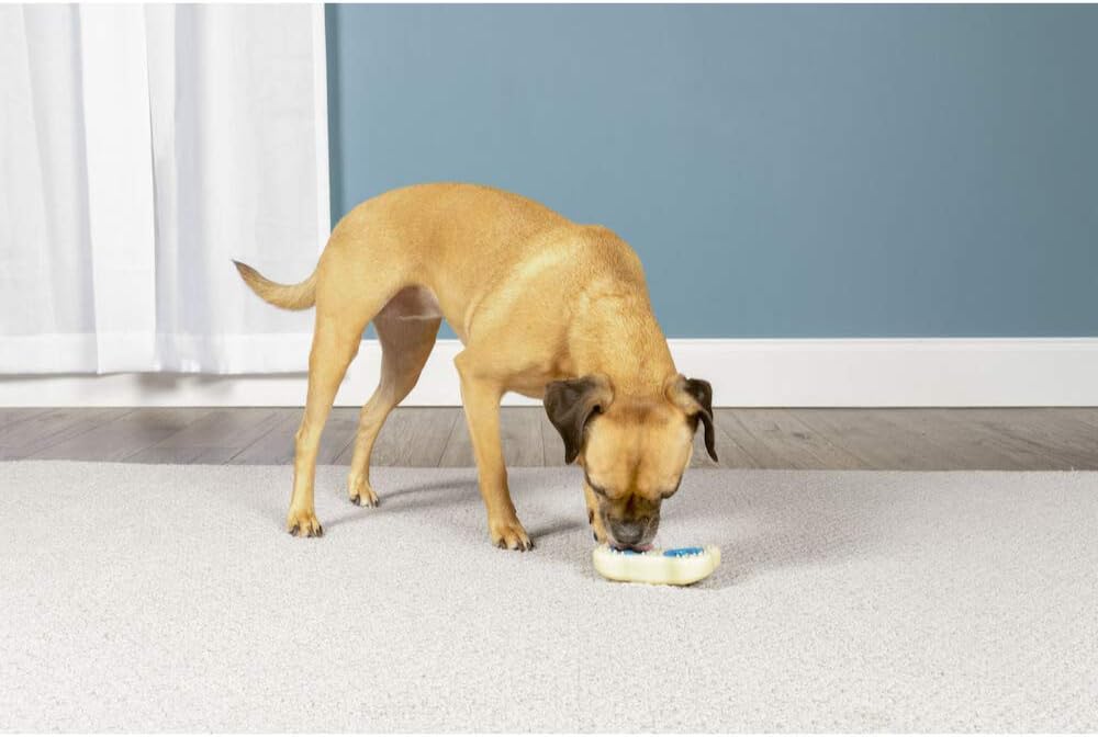 PetSafe PetSafe Busy Buddy Forever Bone Dog Chew Toy, Treat Holding Dog Toy for Strong Chewers Hard Wearing, for small Dogs S - Image 5