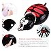 Halloween Decorations Hanging Spider with Balloon for Halloween Party or Haunted House Decorations – 20 Feet