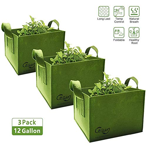 Cesun Square Grow Planter Bag Premium 400G Thickened Fabric Pots 12 Gallon Aeration Fabric Cube with X Stitching Reinforced Handles (12 Gal Green Cube)