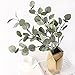 Artificial Eucalyptus Stems Leaves 6 Pcs Straight Silver Dollar Eucalyptus Leaf Silk Greenery Bushes Plastic Plants Floral Faux Greenery Stems for Party Wedding Home Decor(Grey Green)
