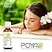 Lemon Essential Oil 30 ml (1 fl. Oz.) - GCMS Tested, 100% Pure, Undiluted and Therapeutic Grade