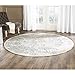 SAFAVIEH Adirondack Collection Area Rug - 4' Round, Ivory & Silver, Oriental Distressed Design, Non-Shedding & Easy Care, Ideal for High Traffic Areas in Living Room, Bedroom (ADR101B)