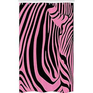 51s%2BhIYrMeL. SS300