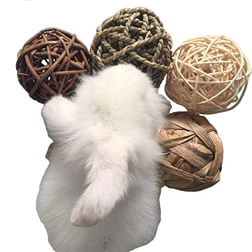 Top 10 best rabbit toys willow ball Which is the best one in 2019