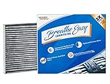 Spearhead Premium Breathe Easy Cabin Filter, Up to