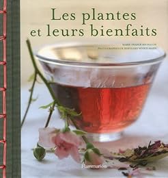 Les  plantes et leurs bienfaits