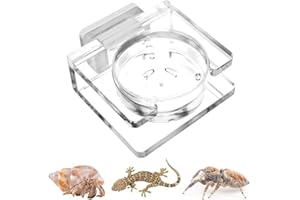 LALOCAPEYO Jumping Spider Feeding Dish,Transparent Acrylic Magnetic Tiny Tarantula Food Bowl Water Dish,for Jumping Spiders, 