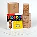 The Froebel Gifts 2-6 with Instruction Manual