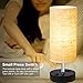 ZEEFO Dual 2.1A USB Charging Port Bedside Table Lamp with Press Switch, Black Base Modern Minimalist Design Desk Lamp Very Convenient Nightstand Lamp to Decor Your Bedroom, Guest Room (Set of 2)