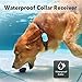 Dog Training Collar – 1000ft Rechargeable Dog Shock Collar with Remote, 3 Training Modes, 0~99 Levels Beep & Vibration & Shock, No harm Waterproof Shock Collar for Dogs, Fit Small Medium Large Dogsthumb 3
