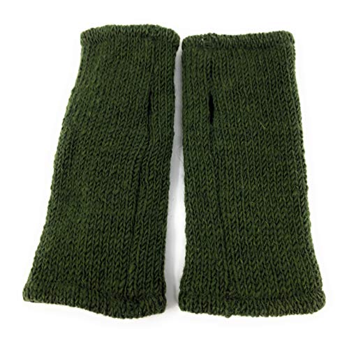 Floral Insulated Lined Wool Knit Arm Warmer Fingerless Gloves Thumb Hole Hand Mittens (Green/Light Green Rose)
