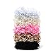 Goody Ouchless Womens Hair Scrunchie - 5 Count, Chenille & Cotton - Suitable for All Hair Types - Hair Accessories for Women Perfect for Long Lasting Braids, Ponytails and More - Pain-Free