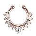 RoseSummer 1Pc Fake Septum Clicker Nose Ring Hanger Clip On Non Piercing Body Ring Jewelry (Rose Gold)