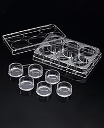 Insert™ Hanging for 3D Cell Culture, 6 Inserts/6