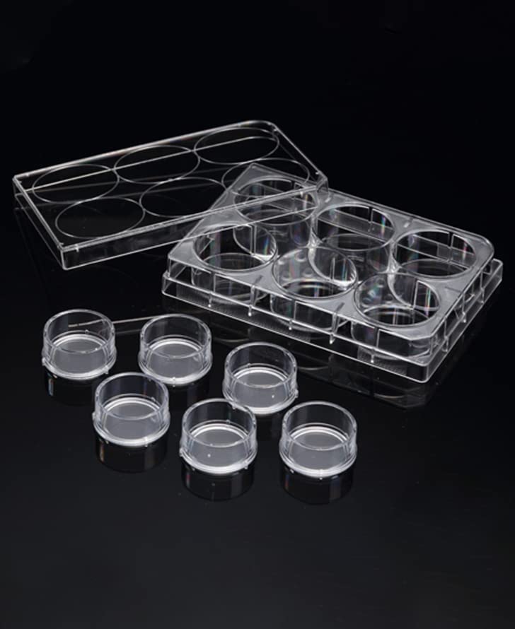 Insert™ Hanging for 3D Cell Culture, 6 Inserts/6