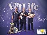 The Vet Life Season 3