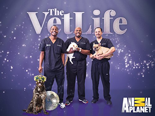 The Vet Life Season 3