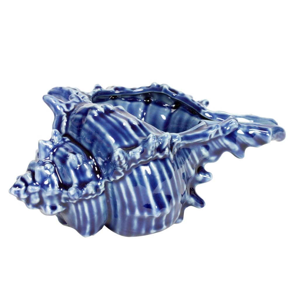 Nauticalia Ceramic Conch Shell Pot, Blue, 17cm