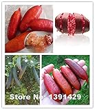 20PCS rare pomegranate seeds, Ice Pink Finger Lime Seeds,organic fruit seeds,Balcony Rare Plants bonsai home & garden supplies