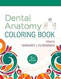 Dental Anatomy Coloring Book by 