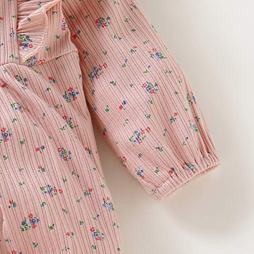 itkidboy Newborn Baby Girls Romper Jumpsuit Flower Long Sleeves Bodysuit + Floral Headband 2Pcs Outfit Set (BB-Pink, 3-6 Months)