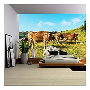 Cows Grazing in a Typical Alpine Landscape - Removable Wall Mural | Self-Adhesive Large Wallpaper - 66x96 inches