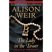The Lady in the Tower: The Fall of Anne Boleyn book cover