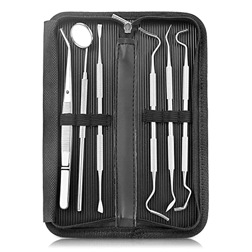Professional Dental Tools Kit,6 PCS Teeth Cleaning Tools Set,Oral Care