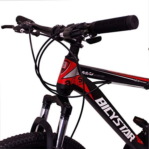 Bicystar Mountain Bike Review Outlet 
