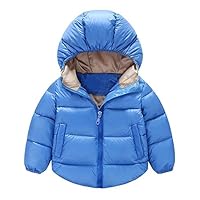 TAOJIAN Toddler Baby Boys Girls Outerwear Cotton-Padded Hooded Coats Winter Jacket (2-3Years, Blue)