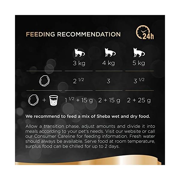 Sheba-Sauce-Lover-Mixed-Collection--Wet-cat-food-trays-for-adult-cats--48-x-85g Sheba Sauce Lover Mixed Collection – Wet cat food trays for adult cats – 48 x 85g