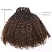 Anrosa Kinkys Curly Clip in Hair Extensions Human Hair 3C 4A Afro Kinky Curly Clip ins Natural Hair Real Remy Thick Human Hair Extensions for Black Women (20 inch, Ombre #1B/4)