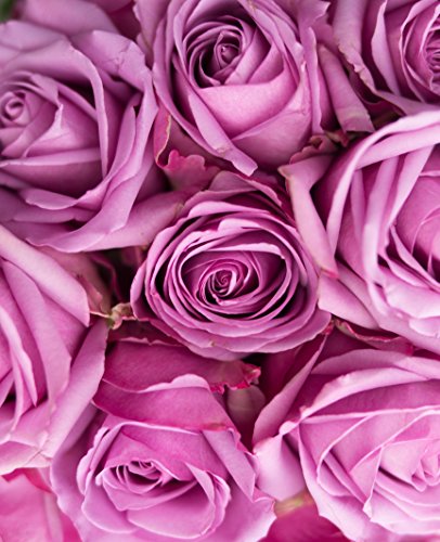 Farm2Door Farm-Fresh Roses, 25/50/100 Fresh Purple Roses