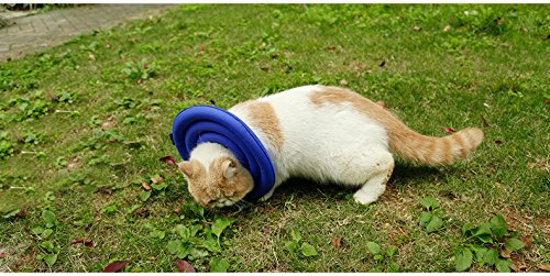 Doglemi Protective Recovery Pet Soft Cone Comfortable E-Collar for Dogs and Cats Water-resistant (M, Blue)