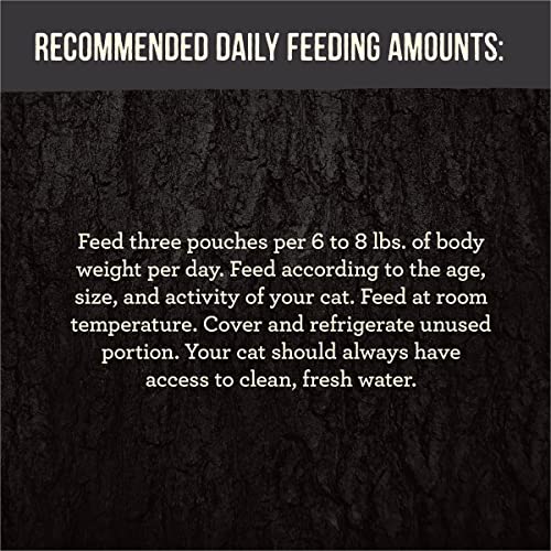 Merrick Backcountry Grain Free Wet Cat Food Variety Pack Real Poultry