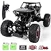 SGILE RC Car Toy for Kids, 1:14 Remote Control Car, 4WD Rechargable Off Road Crawler Car All-Terrain
