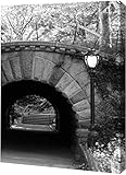 PrintArt GW-POD-23-JPI-RC-024H-15x20 "Under The