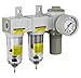 PneumaticPlus SAU2030M-N02G Mini Three Stage Air Drying System, 1/4