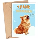 GreenStar Gifts Pomeranian Dog Card, Dog Thank You Card, Cute Pun Thank You Card For Him Her, For Friends, Teacher, Boss, Coworker, Dog Lover Gift, Veterinarian Thank You Gift, Pomeranian Dog Lover
