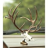 SPG Outdoors Big Rack Whitetail Raxx Figurine
