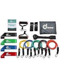 Odoland 16 pcs Resistance Bands Set Workout Bands and Rehab Bands, Heavy Exercise Bands Fitness Bands with Door Anchor, Ankle Strap, Resistance Loop Bands for Gymnastics