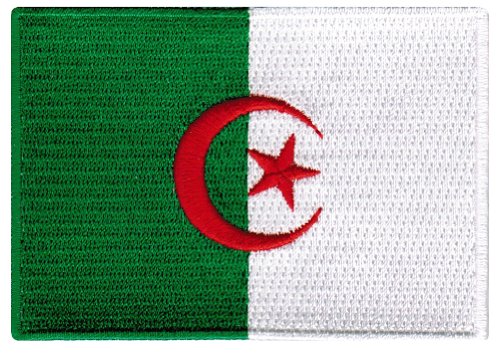 Algeria Flag Embroidered Patch Algerian Iron-On National Emblem