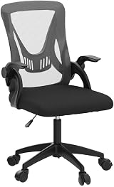 Blisswood Adjustable Office Chair Mesh Desk Chair with 90° Armrests Grey view 4