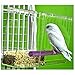 Tweeky Clean tidy Bird Feeder parrot toy toys canary cockatiel finch seed messthumb 4
