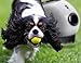 Paws & Pals Automatic Dog Ball Launcher Toy - Interactive Throw and Fetch Mini Tennis Balls Machine with Treat Dispenser - Launches up to 30 feet