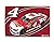 Kevin Harvick #4 3x5 CAR Flag w/grommets RR Outdoor Banner Nascar Racing
