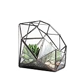 NCYP Large Eight-Surface Diamond Shape Geometric Glass Terrarium Succulent Plant Flower Pot