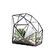 NCYP Large Eight-Surface Diamond Shape Geometric Glass Terrarium Succulent Plant Flower Pot, No Plants Included