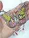 BANBERRY DESIGNS Nurse Butterfly Sun Catcher - Pressed Dried Flower Wings with Beads and a Silver Heart Charm Engraved with Nurse - 4.25 Inches - Nurses Gifts